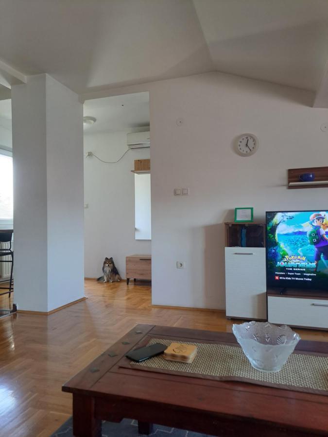 Apartman Zvezdica -Smederevo, Netflix Luaran gambar