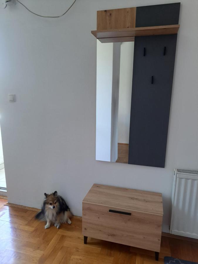 Apartman Zvezdica -Smederevo, Netflix Luaran gambar